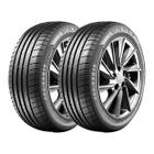 Kit 2 Pneus 205/55 R17 Remold Premium Garantia Inmetro Vipal