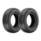 Kit 2 Pneus Aptany Aro 20 225/30R20 RA301 85W XL